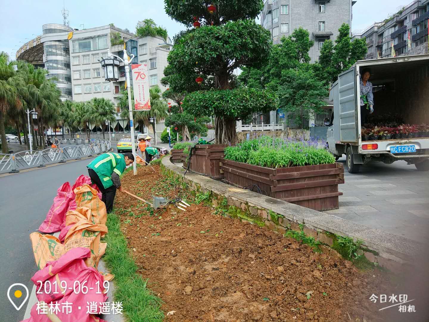 花卉养护