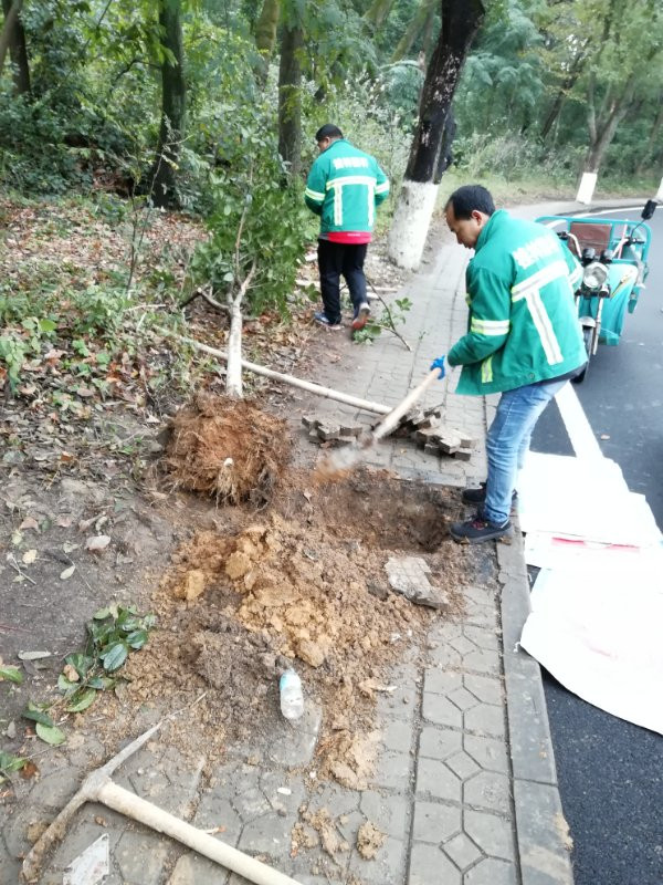 道路养护