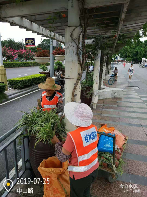 花卉养护