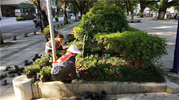 花卉养护