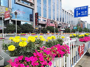 中山中路花化彩化