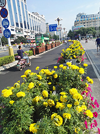 中山中路花化彩化